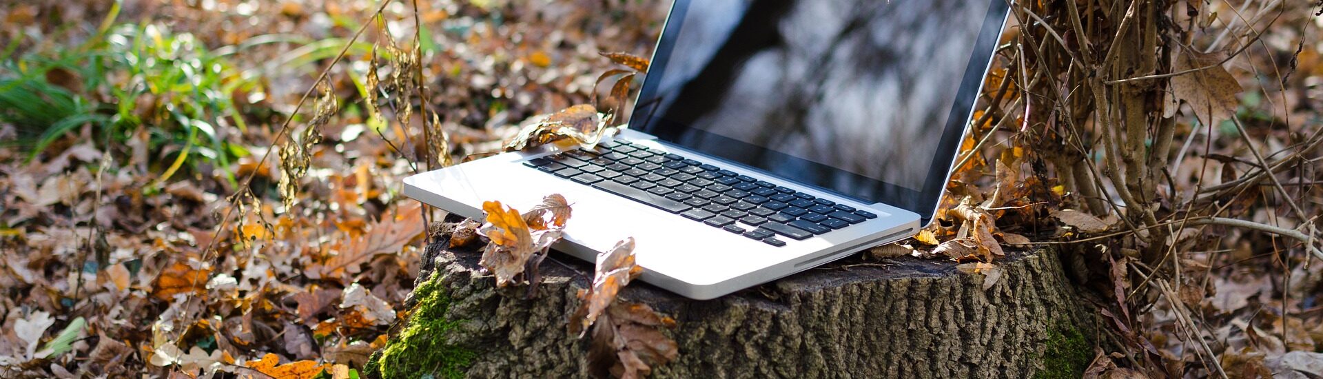 Ordinateur-decor-automnal-1